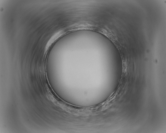 X0000076390004200610161152