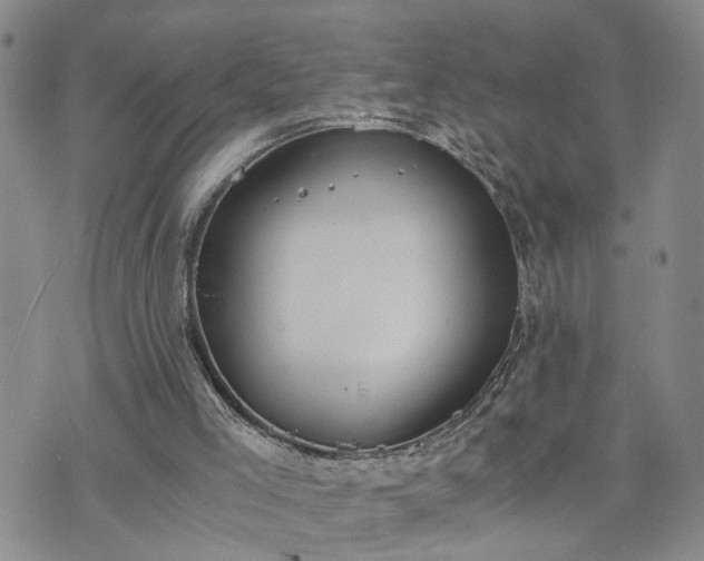 X0000076390005200610161152