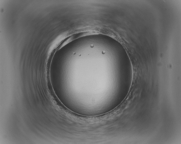 X0000076390006200610161152