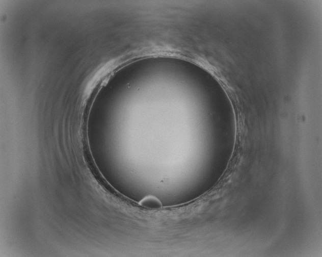 X0000076390007200610161152