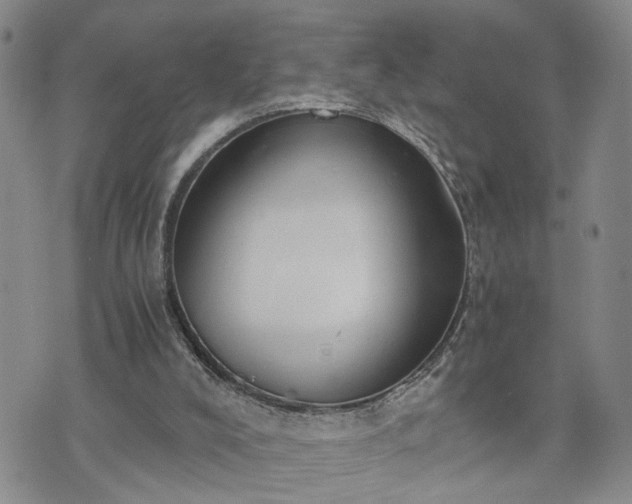 X0000076390008200610161152