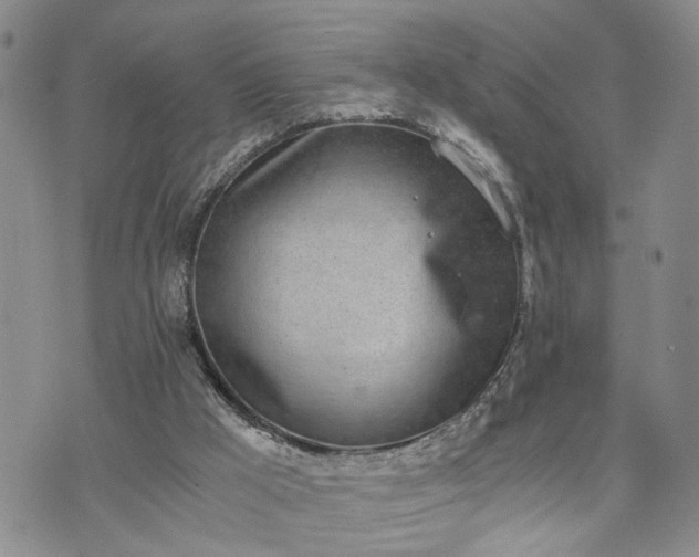 X0000076390009200610161152