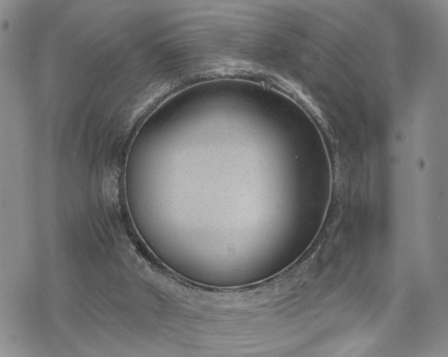 X0000076390010200610161152