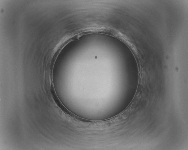 X0000076390011200610161151