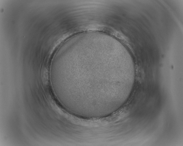 X0000076390012200610161151