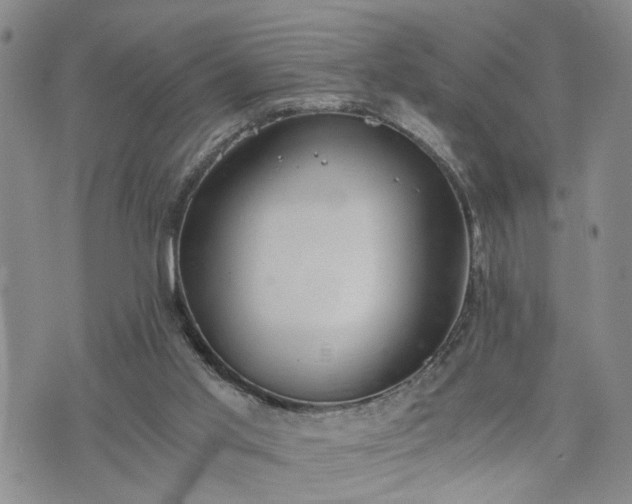 X0000076390013200610161151