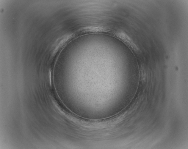 X0000076390014200610161151