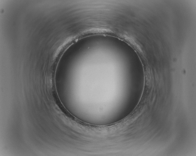 X0000076390015200610161151