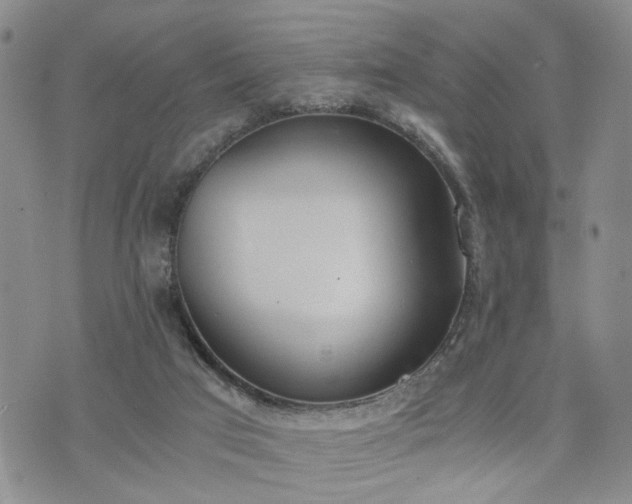 X0000076390017200610161151