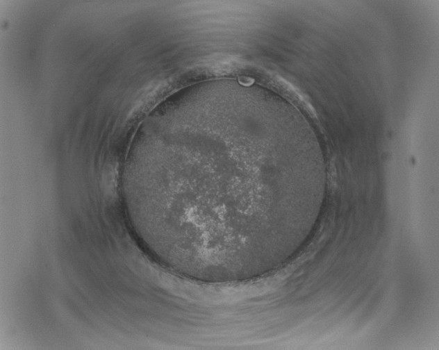 X0000076390018200610161151