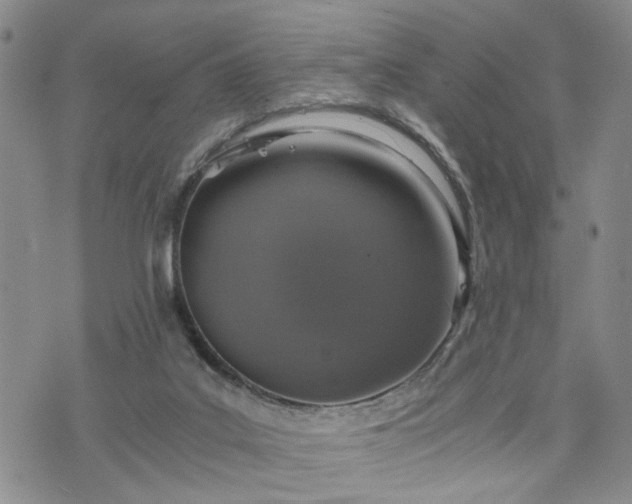 X0000076390019200610161151