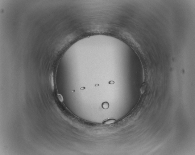 X0000076390020200610161151