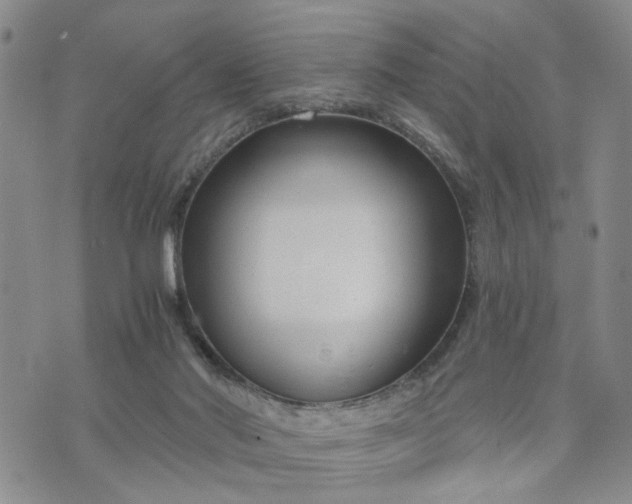 X0000076390022200610161151