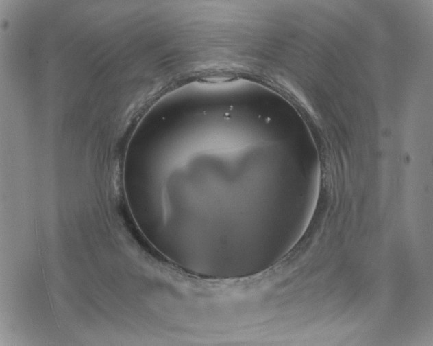 X0000076390023200610161151