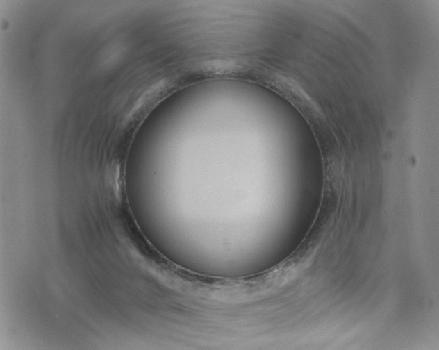 X0000076390024200610161151