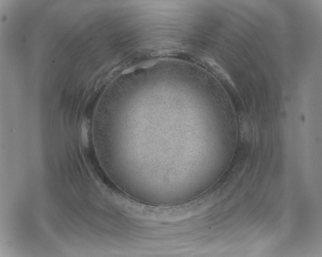 X0000076390026200610161151