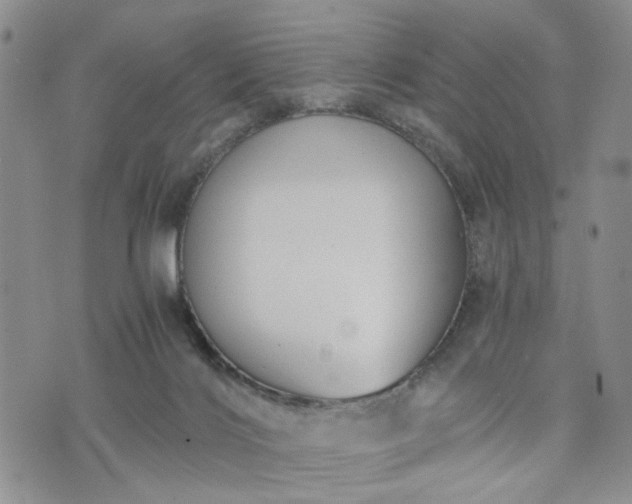 X0000076390028200610161151