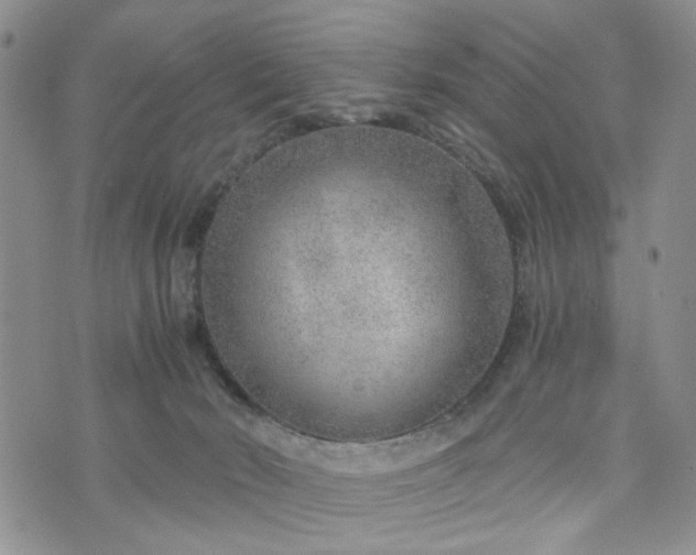 X0000076390030200610161151