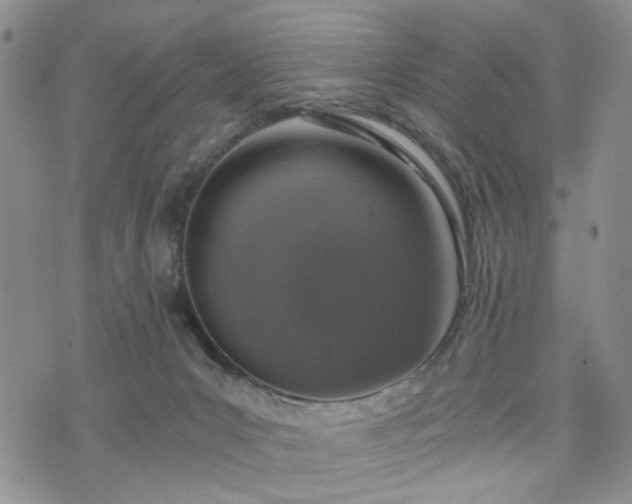 X0000076390031200610161151