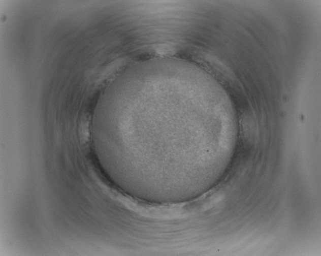 X0000076390032200610161151