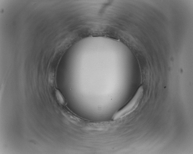 X0000076390033200610161151