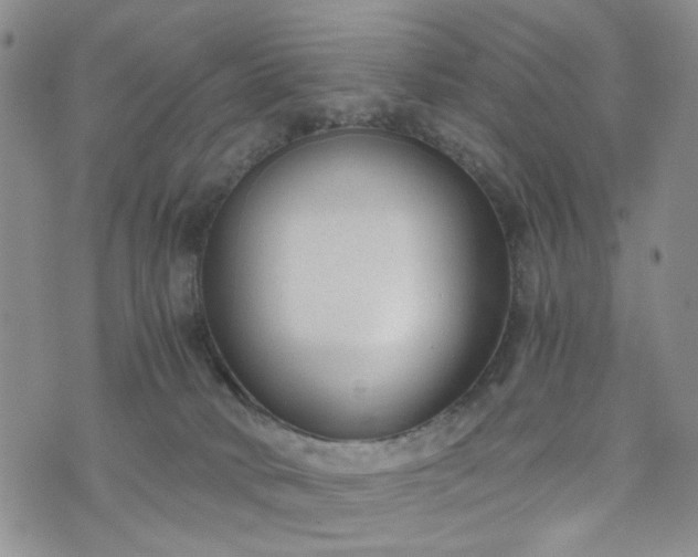 X0000076390034200610161151