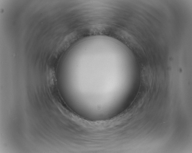 X0000076390038200610161151