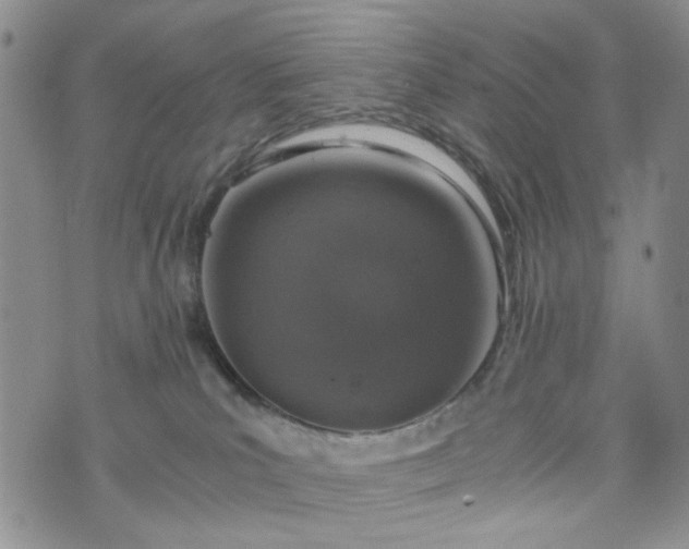 X0000076390039200610161151