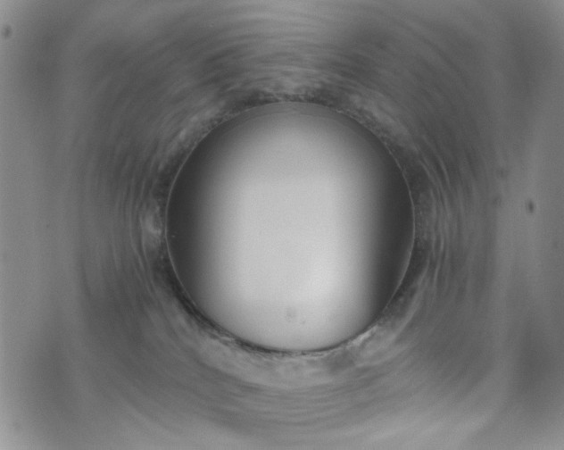 X0000076390040200610161151