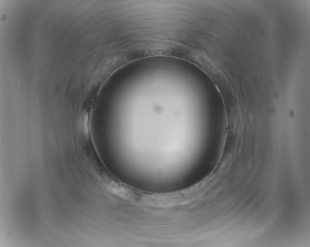 X0000076390041200610161151