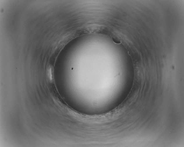 X0000076390042200610161151