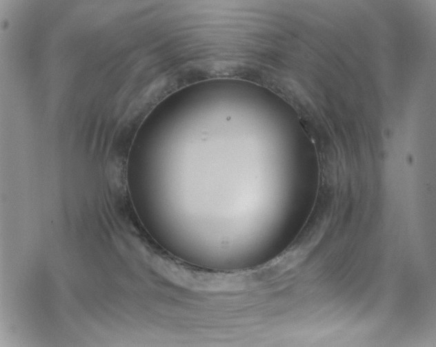 X0000076390044200610161151