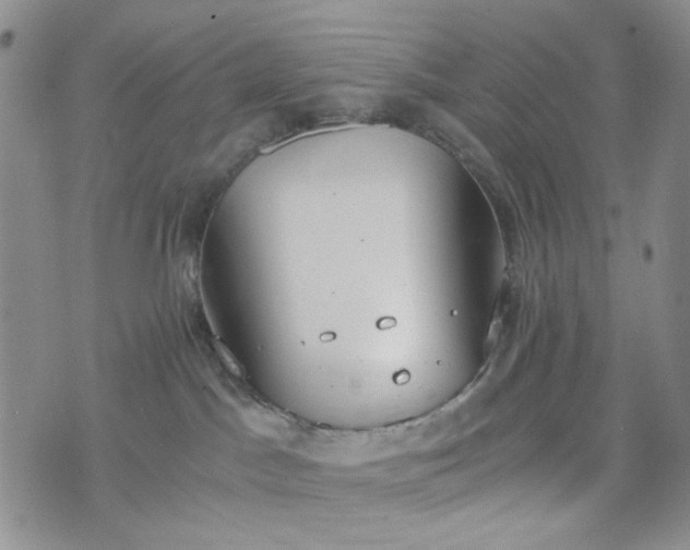 X0000076390045200610161151