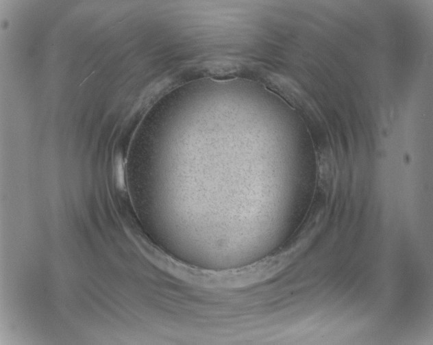 X0000076390046200610161151