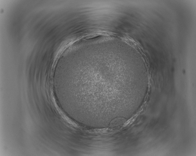 X0000076390049200610161150