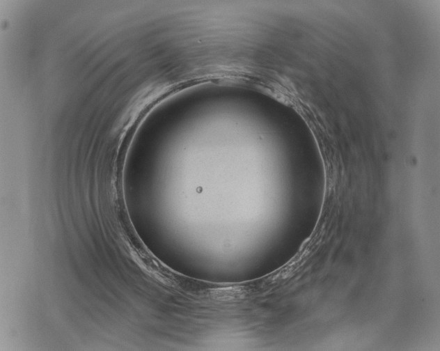 X0000076390050200610161150