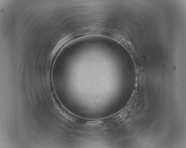 X0000076390051200610161150