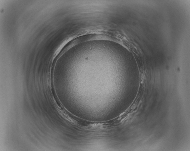 X0000076390052200610161150