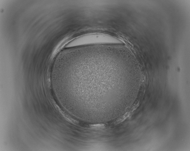 X0000076390053200610161150