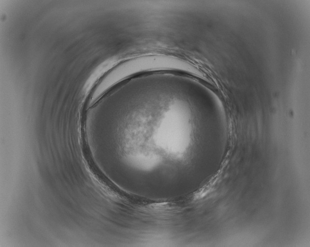 X0000076390054200610161150