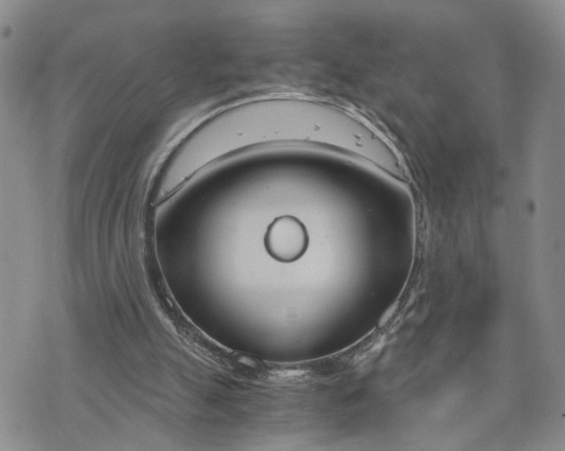 X0000076390055200610161150