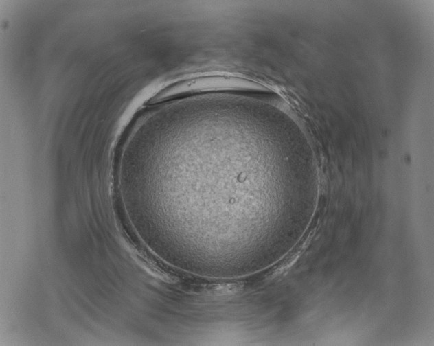 X0000076390056200610161150