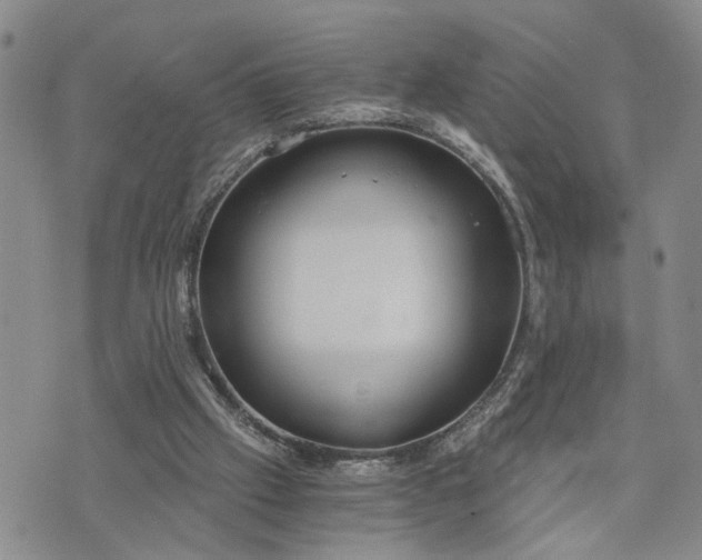 X0000076390057200610161150