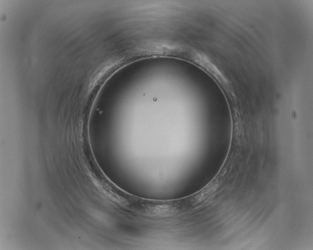 X0000076390058200610161150