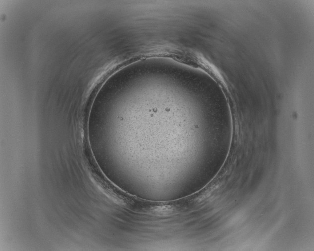 X0000076390059200610161150