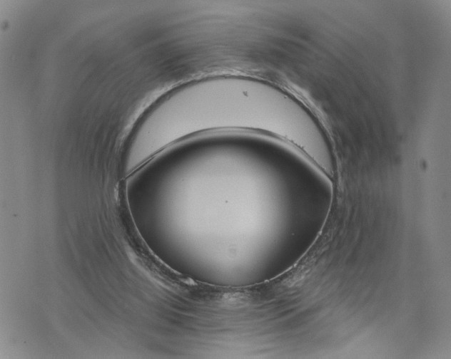 X0000076390060200610161150