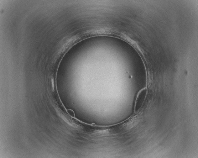 X0000076390061200610161150