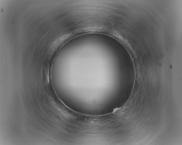 X0000076390062200610161150