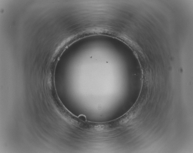 X0000076390064200610161150