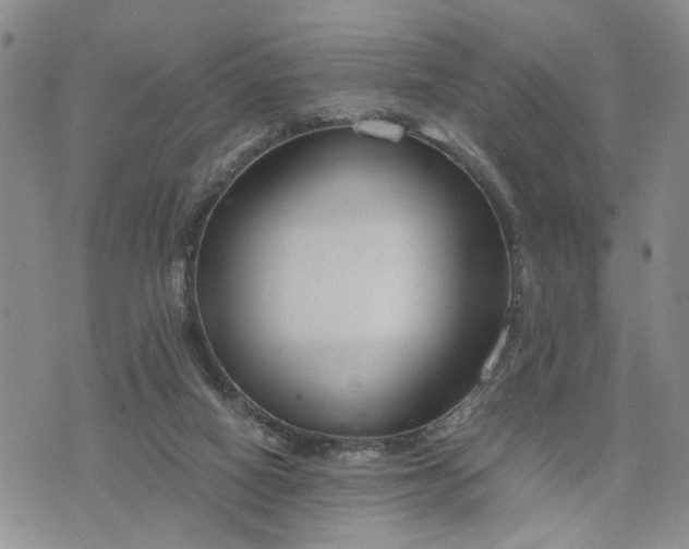 X0000076390066200610161150